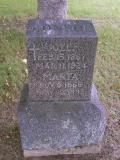 image of grave number 253087